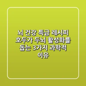 "뇌 건강 특급 레시피" 호두가 두뇌 활성화를 돕는 3가지 과학적 이유