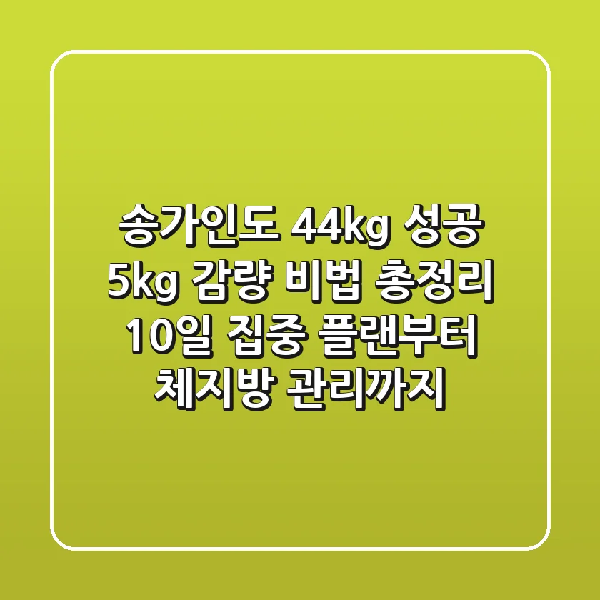 "송가인도 44kg 성공?", 5kg 감량 비법 총정리: 10일 집중 플랜부터 체지방 관리까지