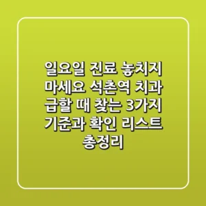 "일요일 진료 놓치지 마세요", 석촌역 치과 급할 때 찾는 3가지 기준과 확인 리스트 총정리