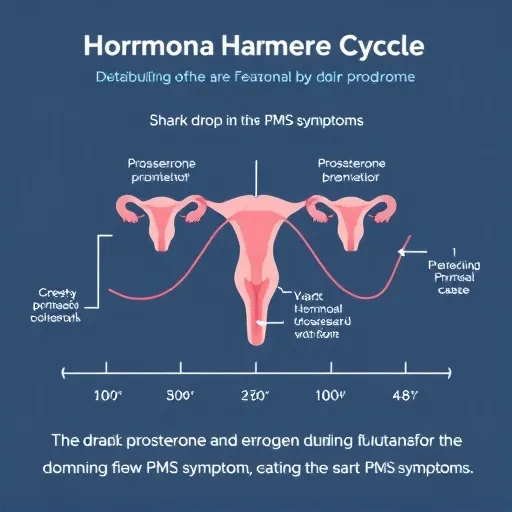 3단계: 전문 의료기관 상담과 약물 치료 (중증 및 PMDD 솔루션)