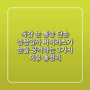 독감 눈 통증, 단순 증상일까? 바이러스가 눈을 공격하는 3가지 이유 총정리
