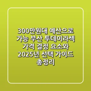 "300만원대 예산으로 가능?", 부산 투데이라섹 가격 결정 요소와 2025년 선택 가이드 총정리