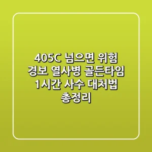 "40.5°C 넘으면 위험 경보", 열사병 골든타임 1시간 사수 대처법 총정리