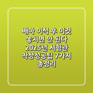 "배아 이식 후 '이것' 놓치면 안 된다", 2025년 시험관 착상성공팁 7가지 총정리